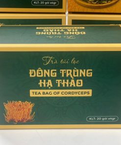 Trà Đông Trùng hạ thảo