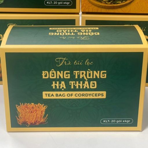Trà Đông Trùng hạ thảo