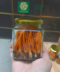Nhộng Đông Trùng Hạ Thảo Đại Khang - Hộp 100 con